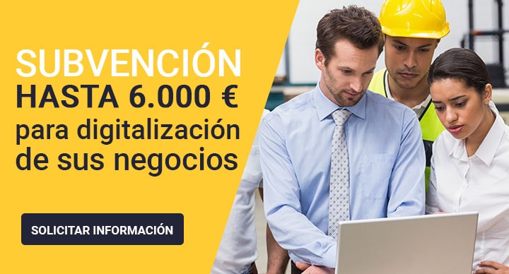 ayudas para la digitalización